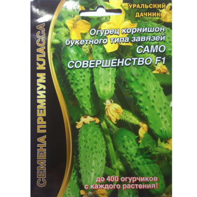Огурец Само совершенство F1 Огурец Само совершенство F1 фото