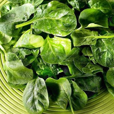 Шпинат Исполинский Шпинат Исполинский фото