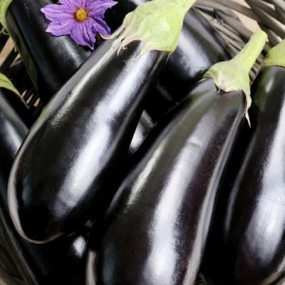 Баклажан Черный Ворон F1 фото