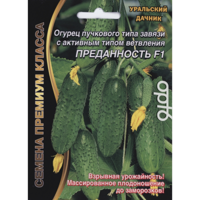 Огурец Преданность F1 Огурец Преданность F1 фото