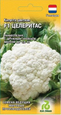 Капуста цветная Целеритас F1 (Голландия) Н19 Капуста цветная Целеритас F1 (Голландия) Н19 фото