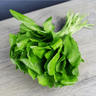 Щавель Малахит (А) фото