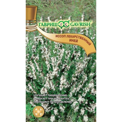 Иссоп лекарственный Иней Иссоп лекарственный Иней фото