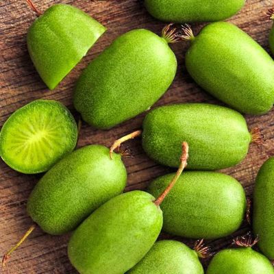 Актинидия Вити-Киви Актинидия Вити-Киви фото