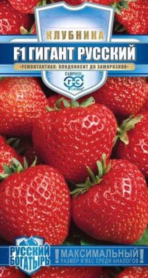 Земляника (Клубника) Гигант русский F1 пробирка сер. Русский богатырь Земляника (Клубника) Гигант русский F1 пробирка сер. Русский богатырь фото