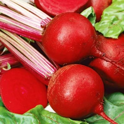 Свекла Красный шар (Червона Кула) Свекла Красный шар (Червона Кула) фото