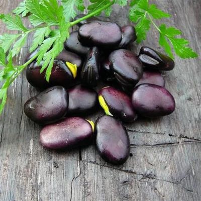 Бобы Русские черные Бобы Русские черные фото