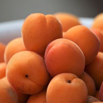 Абрикос Дионис Абрикос Дионис - Dolina-Sad.Ru