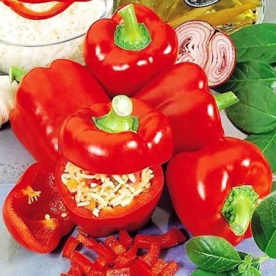 Перец Рубиновый Н11 Перец Рубиновый Н11 фото