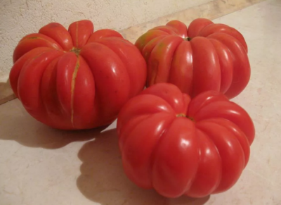 Томат Японский краб Томат Японский краб фото