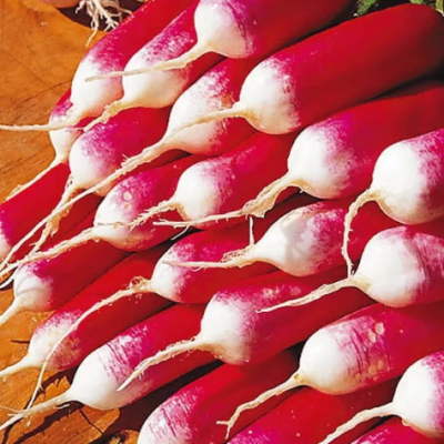 Редис Фокс фото